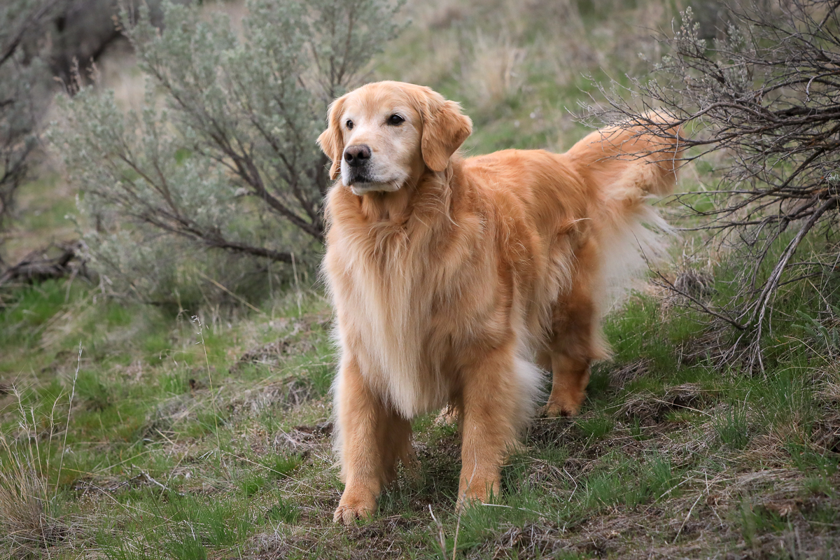 IMAGE: http://bwhip.com/galleries/BlogPhotos/6U4A4458.jpg