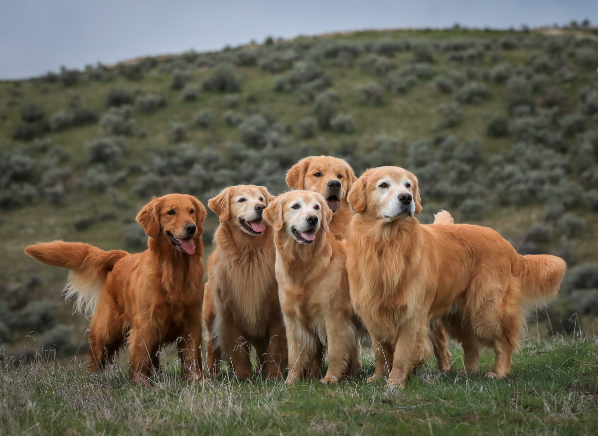 IMAGE: http://bwhip.com/galleries/BlogPhotos/6U4A4474.jpg