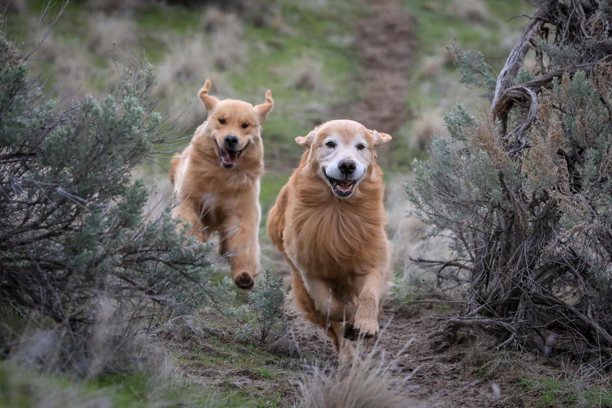 IMAGE: http://bwhip.com/galleries/BlogPhotos/6U4A4521.jpg