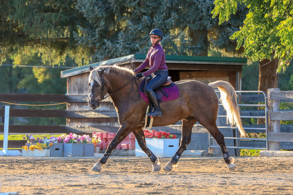 IMAGE: http://bwhip.com/galleries/BlogPhotos/sarah_0918/6U4A6764.jpg